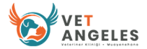 Vet Angeles